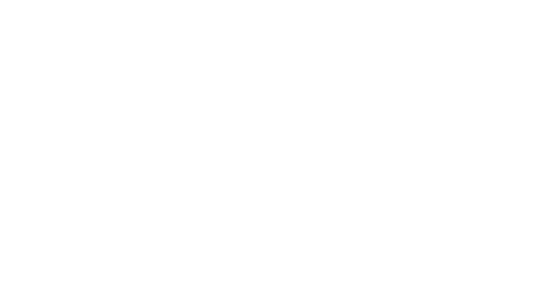 DUFaM
