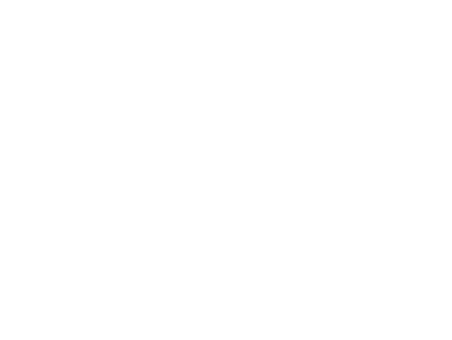 Ford Otosan
